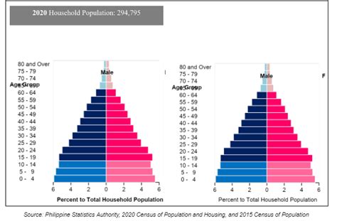 psa tagum|Special Release: Age and Sex Distribution of Household .